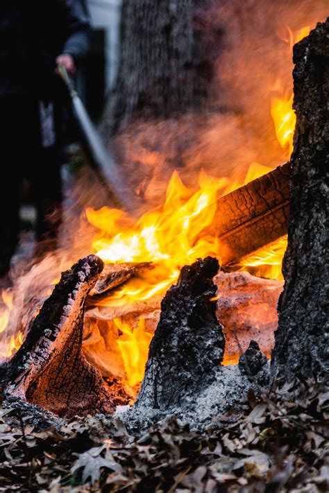 Burning wood on fire pit photo – Free Fire Image on Unsplash