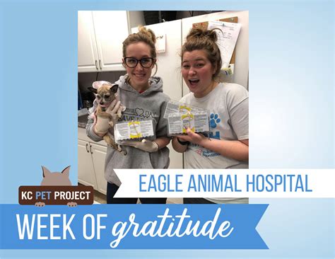 eagle animal hospital and pet resort 4