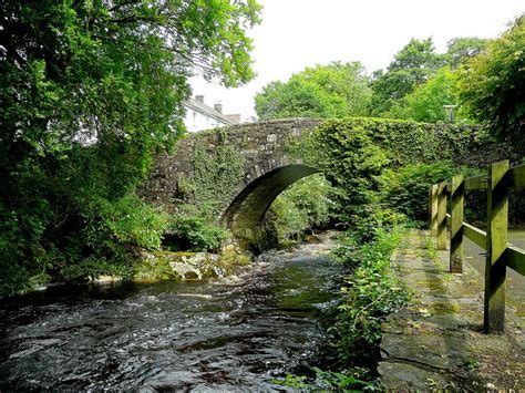 Ivy Bridge Ilex Ran Until Each Breath Was Like By Edward Beaumont