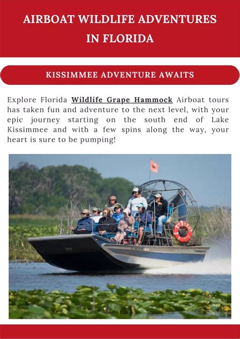 PPT - Airboat Wildlife Adventures in Florida PowerPoint Presentation ...