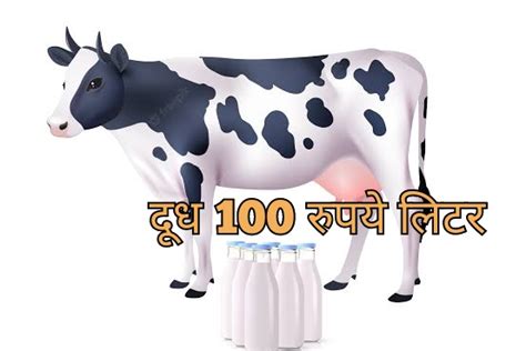 Himganga Scheme सरकार गाईचे दूध 80 रुपये आणि म्हशीचे दूध 100 रुपये