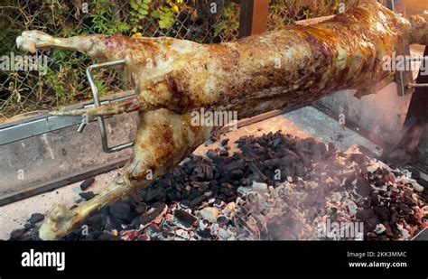 Spit Roasting A Whole Lamb Over Hot Coals Camera Moving From Left To Right Stock Video Footage