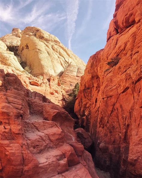 Mojave Desert Red Rock Canyon National Conservation Area