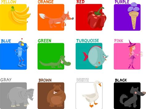 kids basic colors chart royalty  vector image