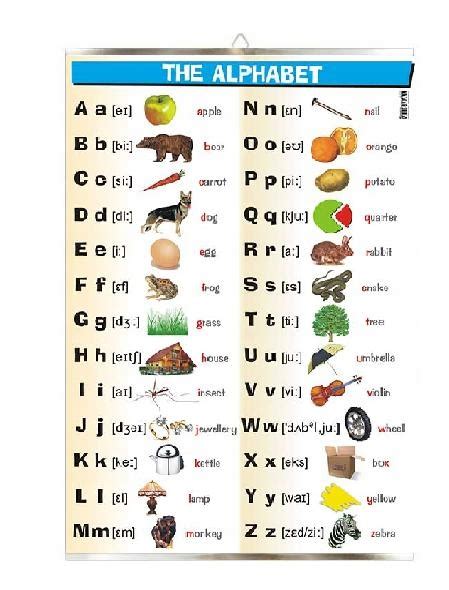 The Alphabet Alfabet Angielski Plansza Plakat Allegro Pl