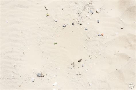 ArtStation - Texture Photo Pack: Sand | Resources