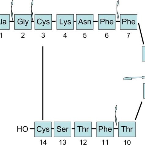 Side effects of somatostatin analogs | Download Table