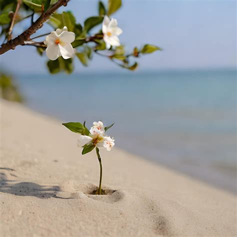 Uma Pequena Planta Est Crescendo Na Areia Perto Da Gua Foto Premium