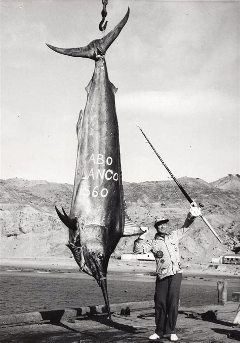 World Record Marlin Outdoor Life