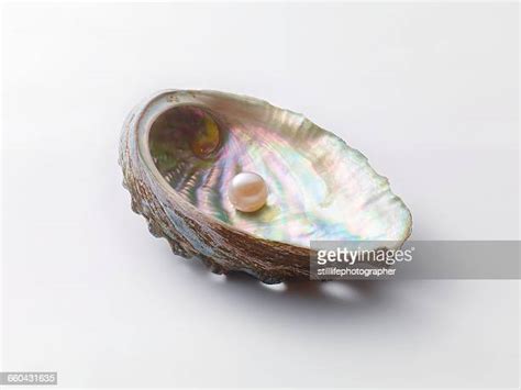 117 Pearl Inside Oyster Shell Stock Photos High Res Pictures And