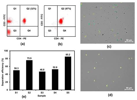 Applied Sciences Free Full Text A Simple Approach For Counting Cd4