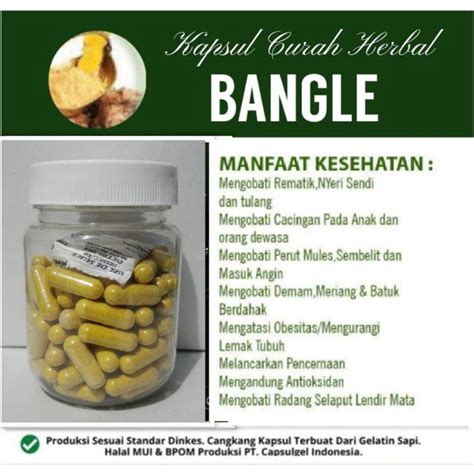 Jual BANGLE 100 Kapsul Herbal Antioksidan Nafsu Makan Rematik Lemah