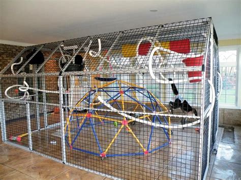 Best 25+ Monkey cage ideas on Pinterest | DIY Halloween jail cell, Haunted props and Halloween hq