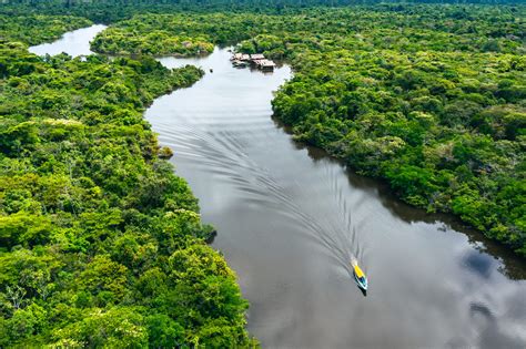 Fatos Da Amaz Nia Meio Ambiente E Uso Do Solo Amz