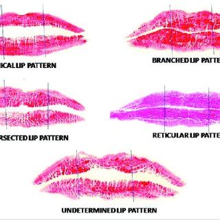 Types Of Lips Sketchup Lipstutorial Org