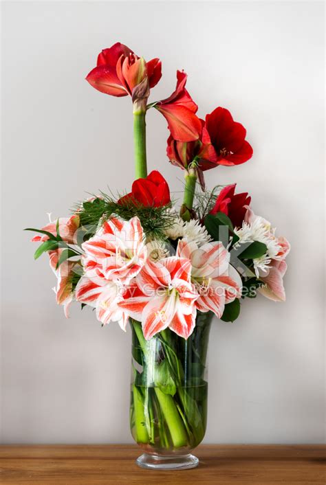 Bouquet With Amaryllis Stock Photo | Royalty-Free | FreeImages