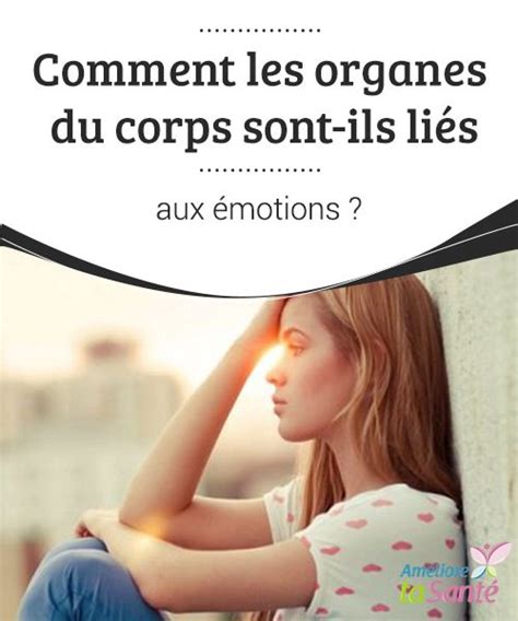 Comment Les Organes Du Corps Sont Ils Li S Aux Motions Motions