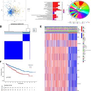 Identification Of Cuproptosis Clusters A Prognostic Value Of The