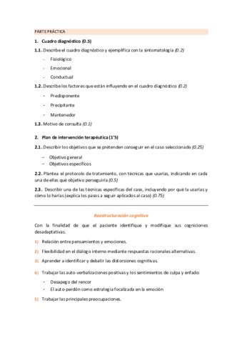 Parte Practica Examen Pdf