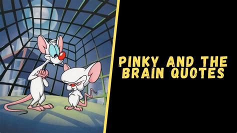 Top 15 Memorable Quotes From Pinky and the Brain Series