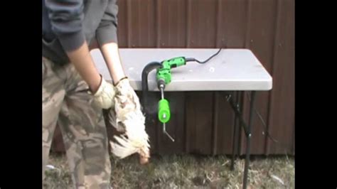 The Power Plucker Drill Powered Chicken Plucker Youtube