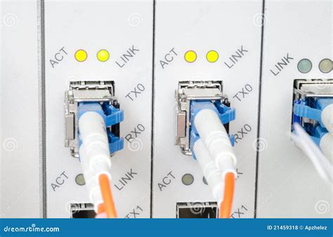 Os Cabos Da Fibra óptica Conectaram Ao Portas óticas Foto de Stock