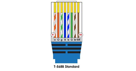 Como Hacer Tu Propio Cable Ethernet Y Todo Lo Que Tienes Que Saber