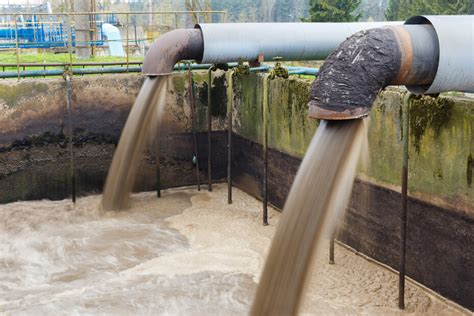 Innovative Process For High Organic Content Sludge Treatment