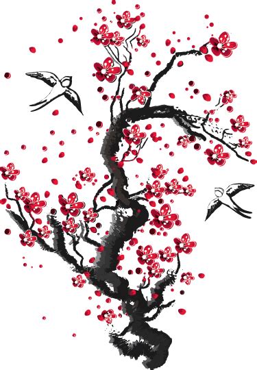 Cherry Blossom Tree PNG Image File | PNG All