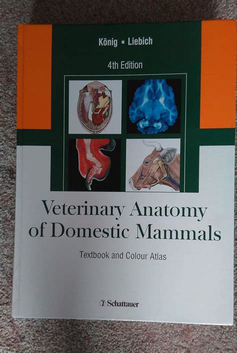 Veterinary Anatomy Of Domestic Mammals Textbook And Colour Atlas Buy