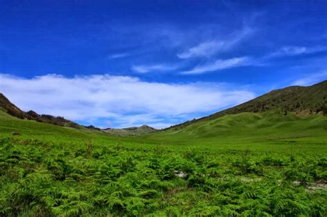 The Beauty Of Teletubbies Hill Bromo