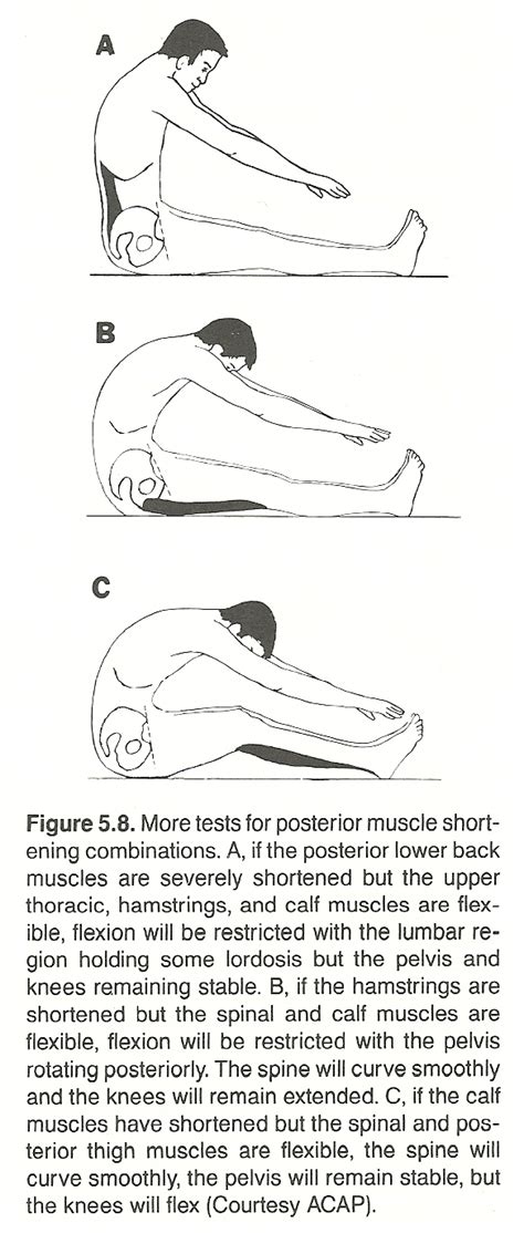 Lumbar Flexion Extension