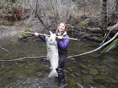 How Do We Count The Fish – Friends of the Eel River