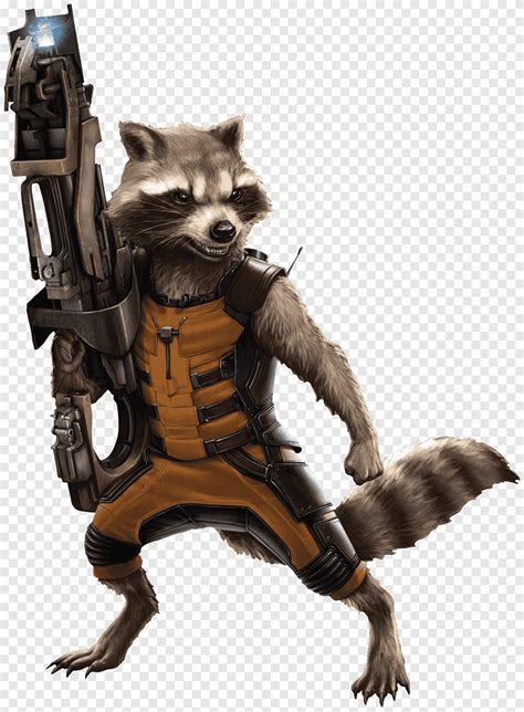 Guardians Of The Galaxy Rocket Racoon Illustration Rocket Raccoon Drax