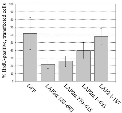 Distinct Functions Of The Unique C Terminus Of Lap2α In Cell