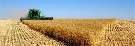 Rapid Thrive Of The Agrarian Sector In Ukraine Gtinvest