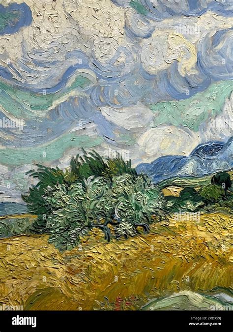 La Mostra Del Metropolitan Museum Of Art I Cipressi Di Van Gogh