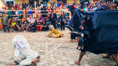 Banteng Kalapan Kuda Budaya Live Merak Pacet Youtube