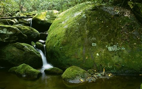 Wallpaper Sinar Matahari Air Terjun Batu Alam Refleksi Lumut