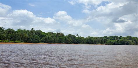 Essequibo River Tour in Guyana - Wilderness Explorers