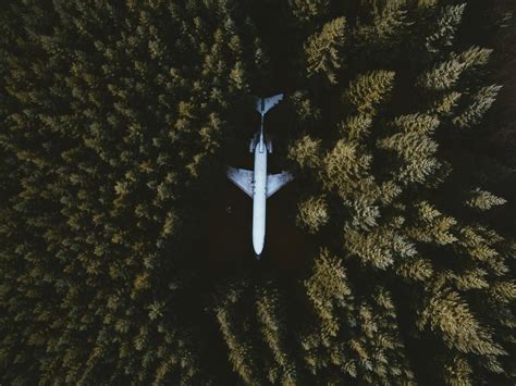 Reducing carbon footprint with virtual solutions a plane in the forest