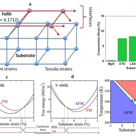 Model Structures A Schematics Of The Lattice Deformation Of The Ferh