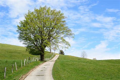 Weg Strasse Natur Kostenloses Foto Auf Pixabay