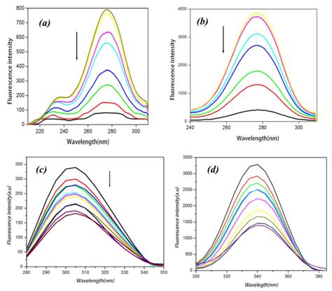 Synchronous Fluorescence Spectrum Of BSA In Presence Of Complex RBB At