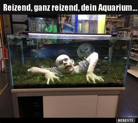 Reizend ganz reizend dein Aquarium Lustige Bilder Sprüche