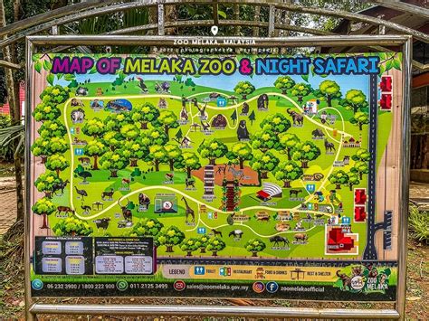 Zoo Melaka Tiket Online - MiarilWhitaker