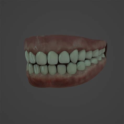 Human Teeth 3d Model Download Free 3d Models