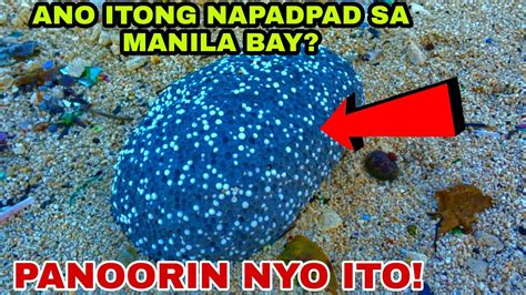 MANILA BAY UPDATE AUGUST 17 2022 ANO ITONG NAPADPAD SA MANILA BAY