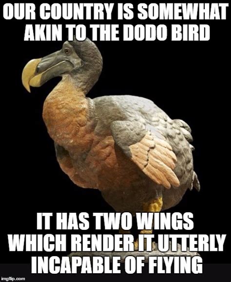 Dodobird Imgflip