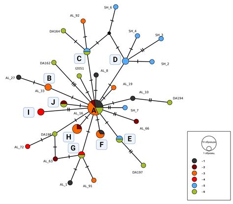 Russian Archaeology Genetic Diversity Of The Central Caucasian Region